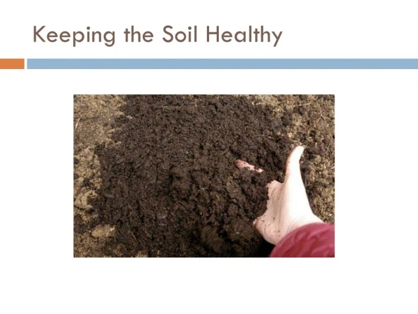 Keeping the Soil Healthy