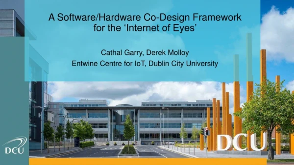A Software/Hardware Co-Design Framework for the ‘Internet of Eyes’