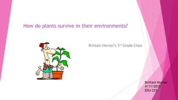 How do plants survive in their environments?