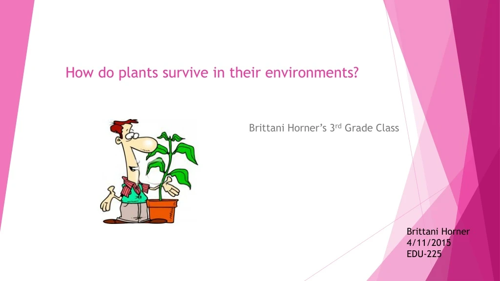 how do plants survive in their environments
