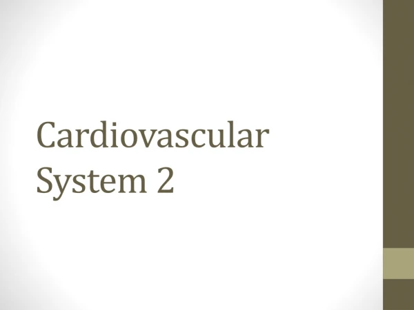 Cardiovascular System 2