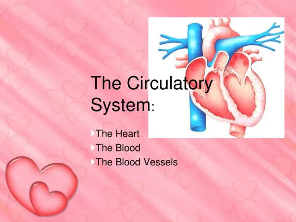 The Circulatory System :