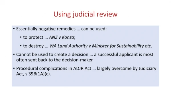 Using judicial review