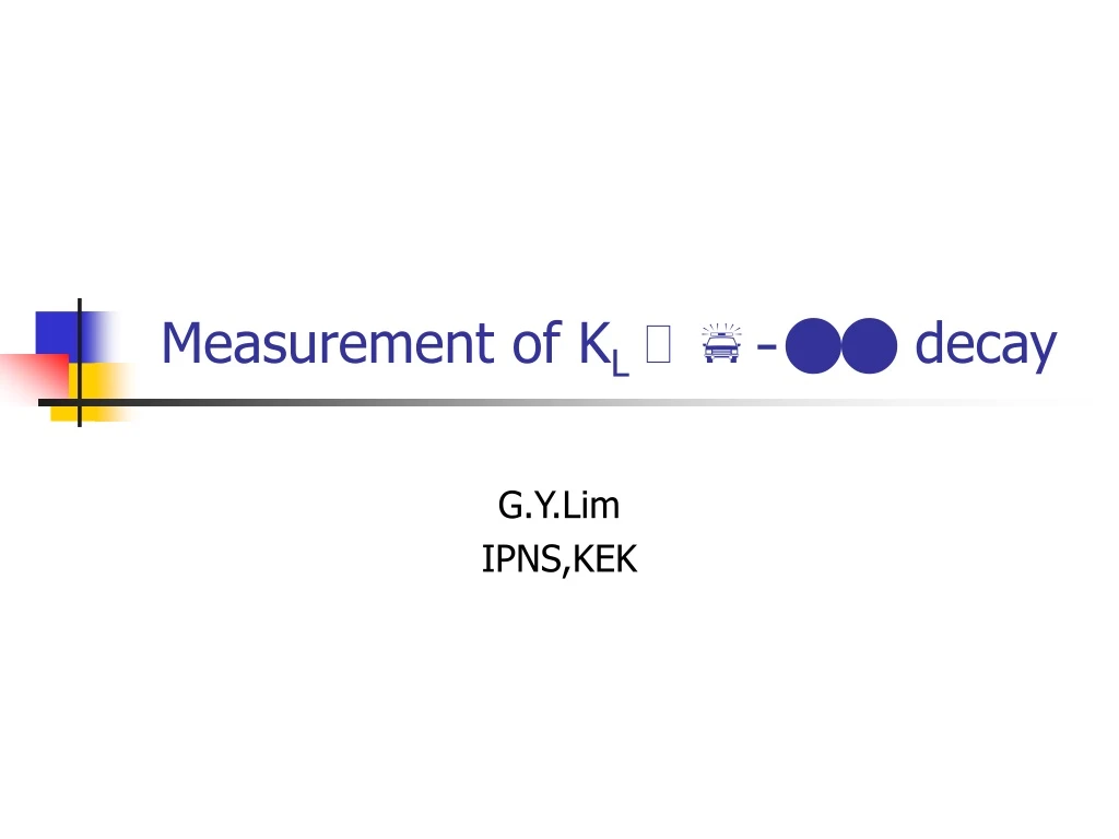 measurement of k l p 0 nn decay