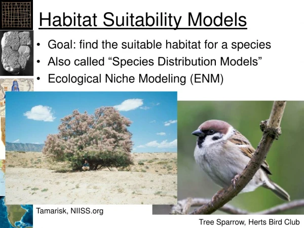 Habitat Suitability Models