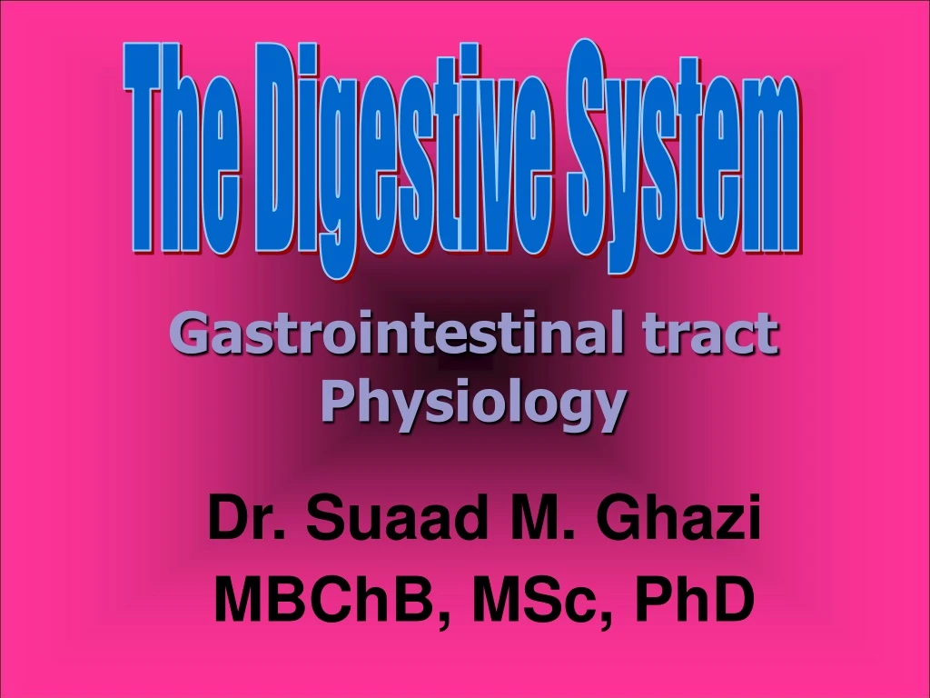 the digestive system