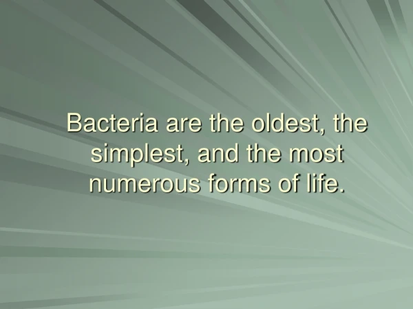 Bacteria are the oldest, the simplest, and the most numerous forms of life.