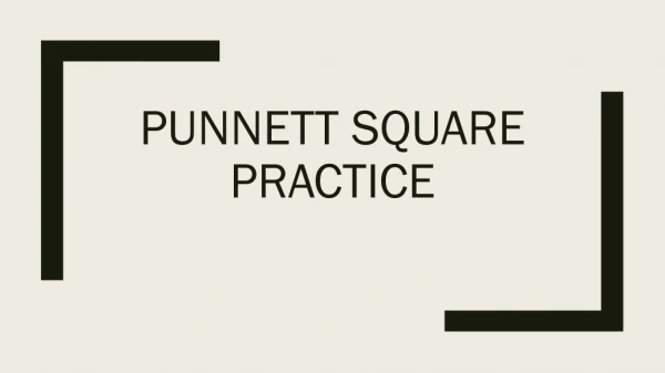 Punnett Square practice