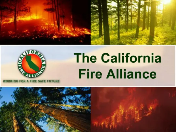 The California Fire Alliance