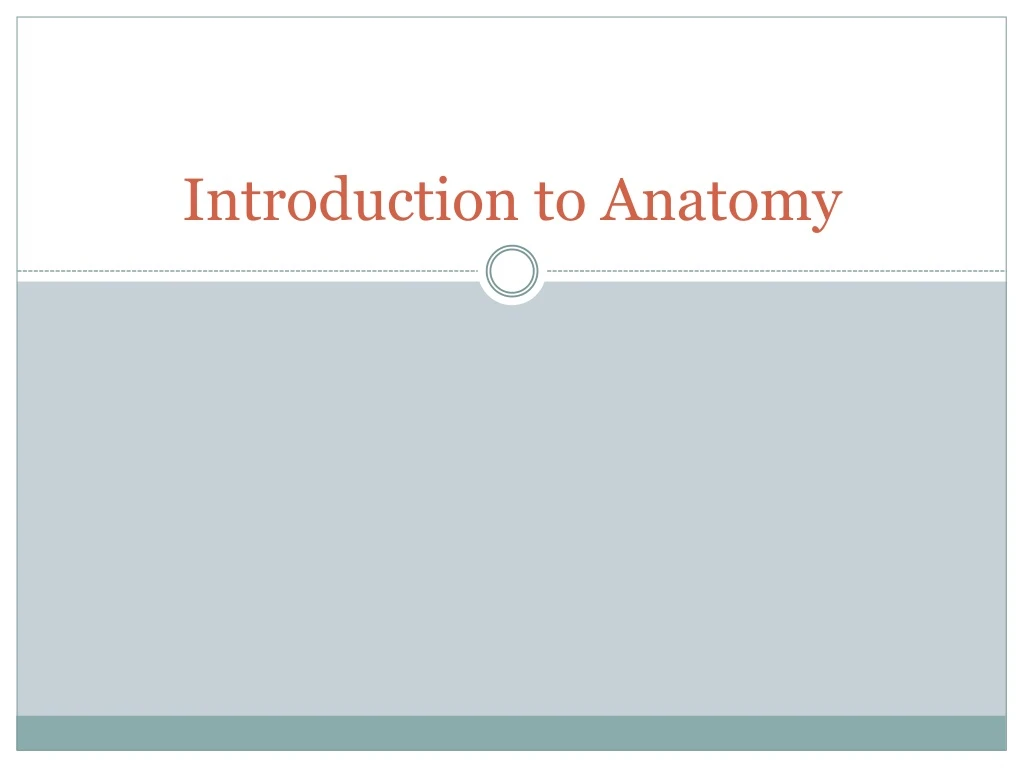 introduction to anatomy