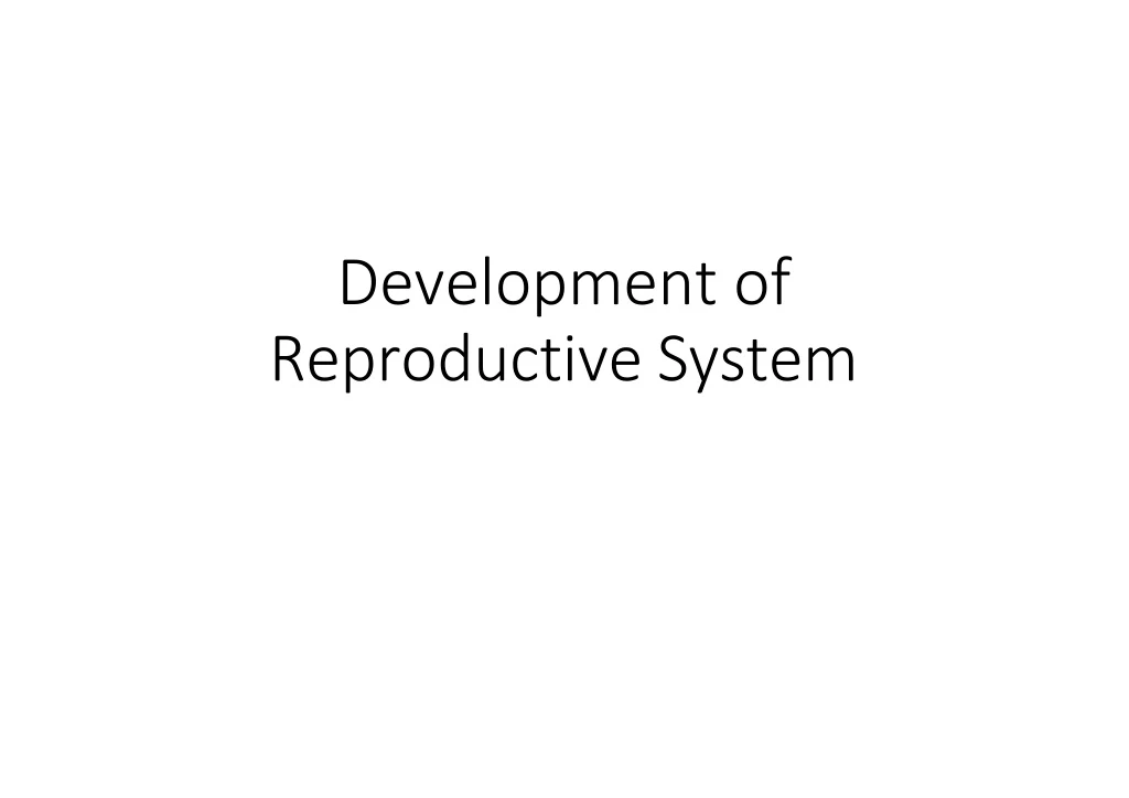 development of reproductive system