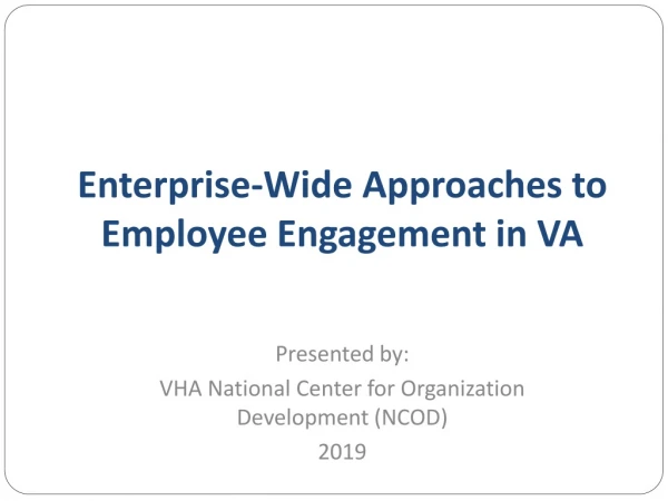 Enterprise-Wide Approaches to Employee Engagement in VA