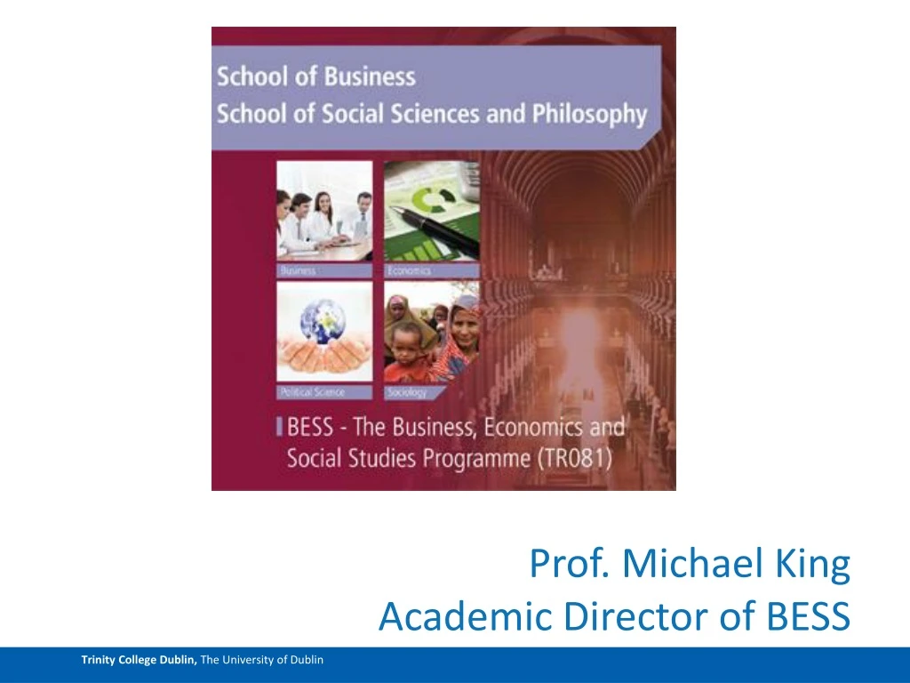 prof michael king academic director of bess