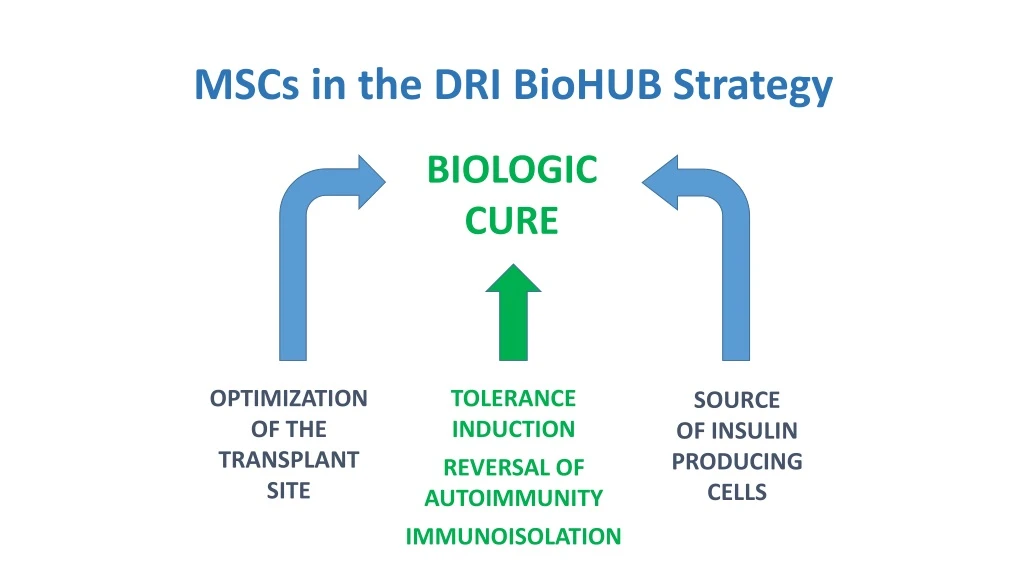 mscs in the dri biohub strategy