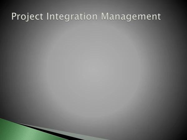 Project Integration Management