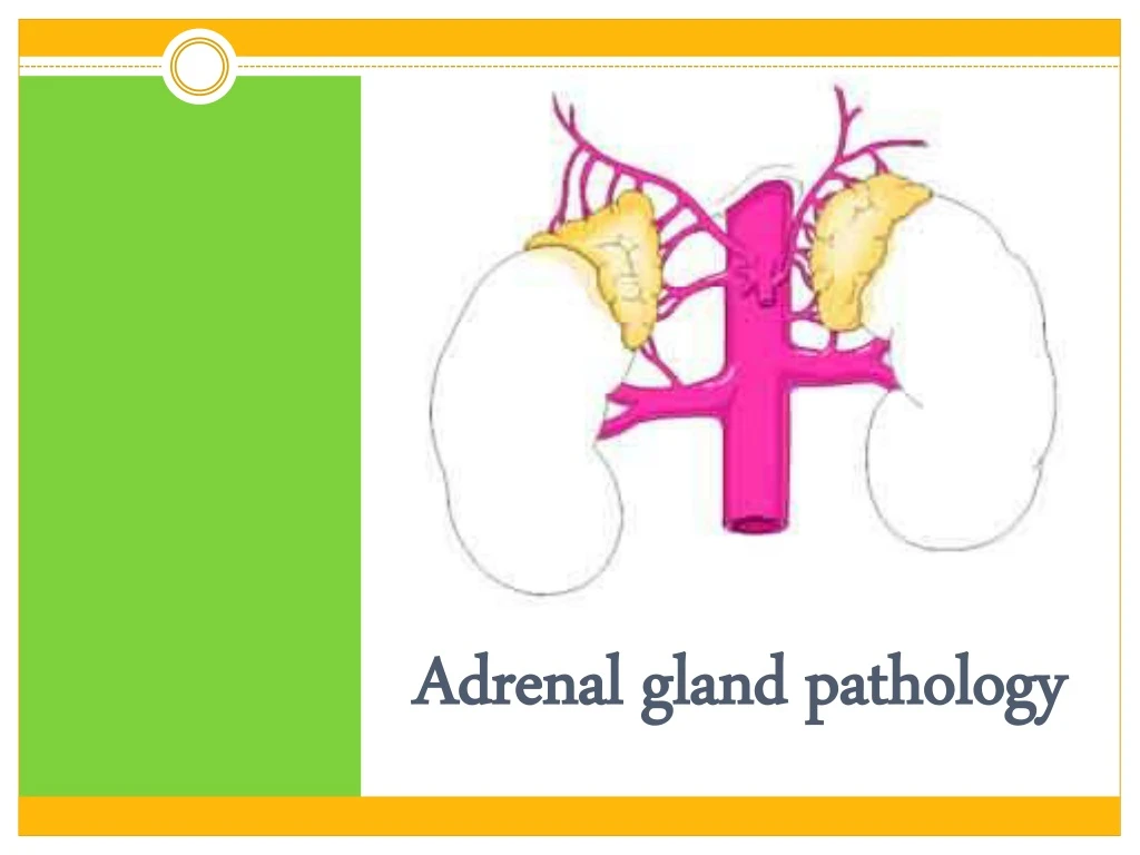 adrenal gland pathology