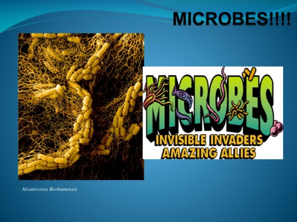 MICROBES!!!!