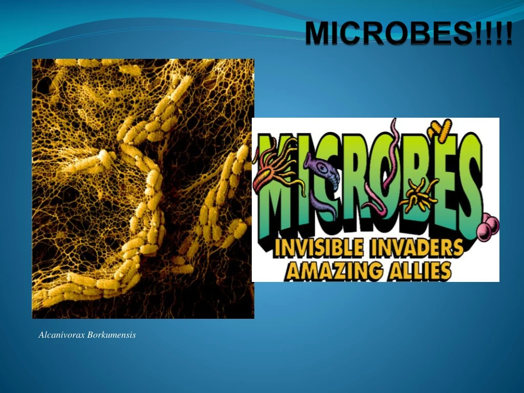 microbes