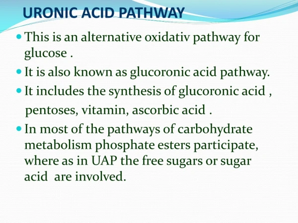 URONIC ACID PATHWAY