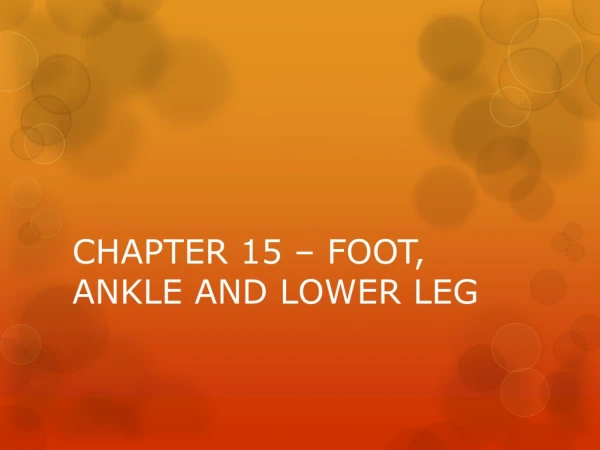 CHAPTER 15 – FOOT, ANKLE AND LOWER LEG