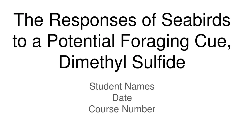 the responses of seabirds to a potential foraging cue dimethyl sulfide