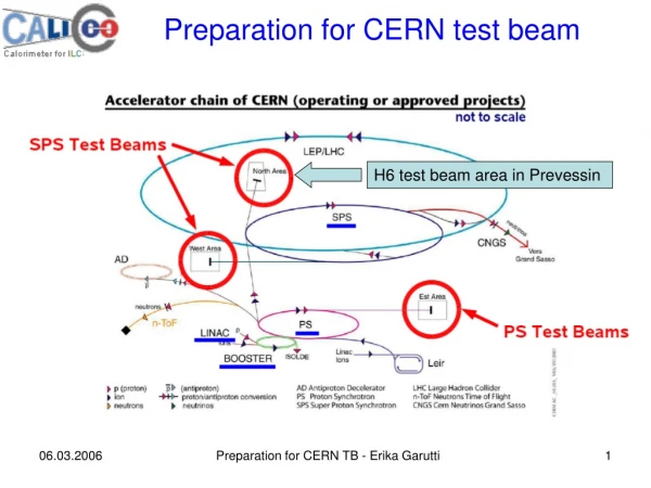 Preparation for CERN test beam