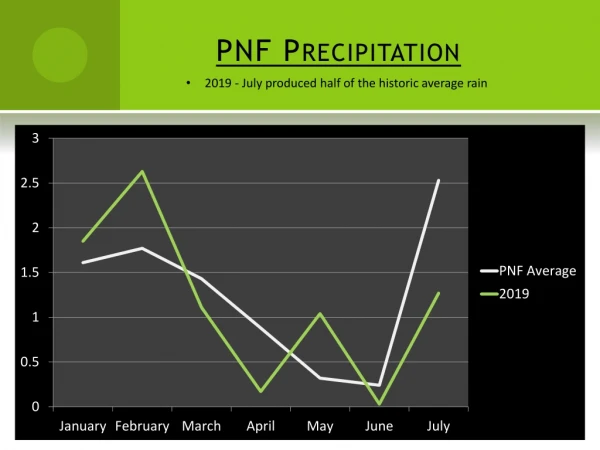PNF Precipitation