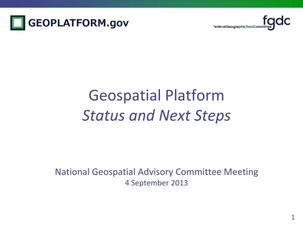 NGAC Geospatial Platform Subcommittee