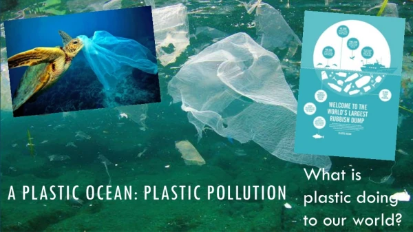 A plastic ocean: plastic pollution