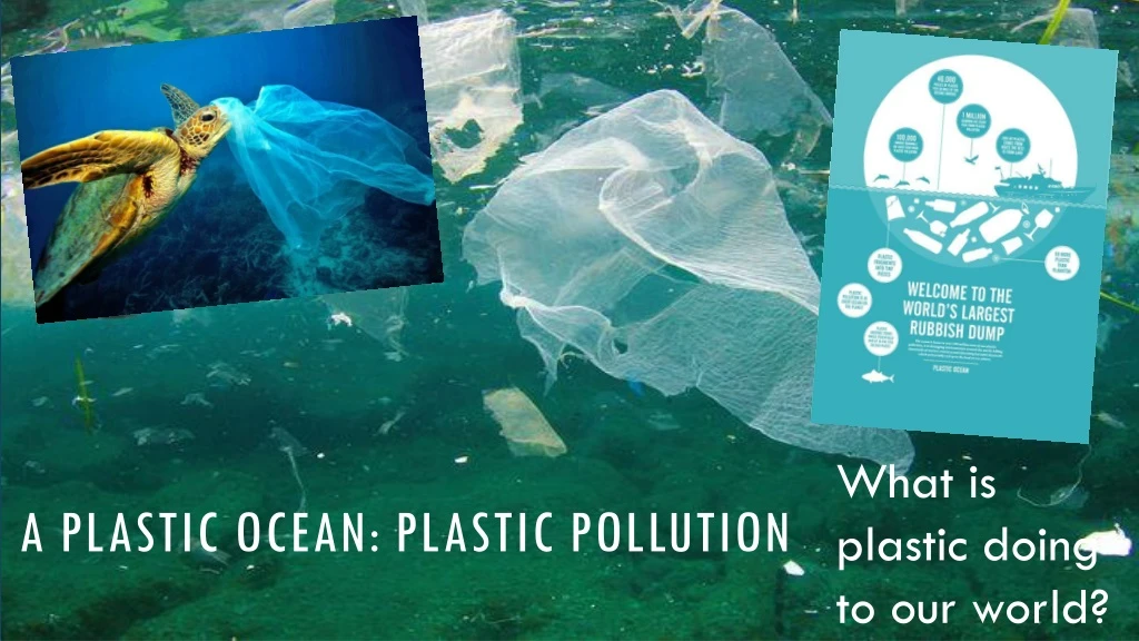 a plastic ocean plastic pollution