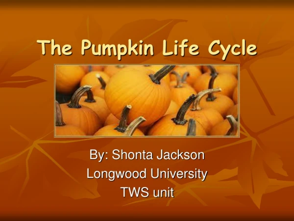 The Pumpkin Life Cycle
