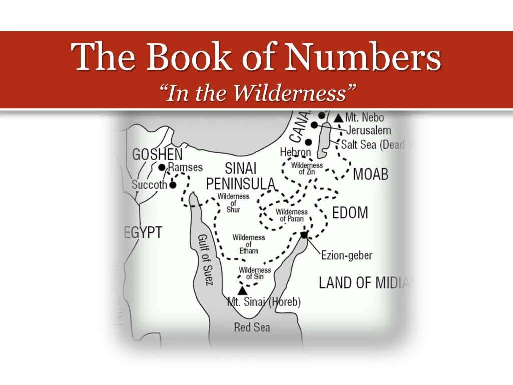 the book of numbers in the wilderness
