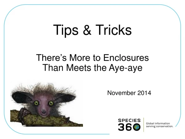Tips &amp; Tricks There’s More to Enclosures Than Meets the Aye-aye
