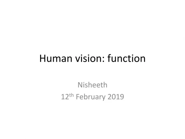 Human vision: function