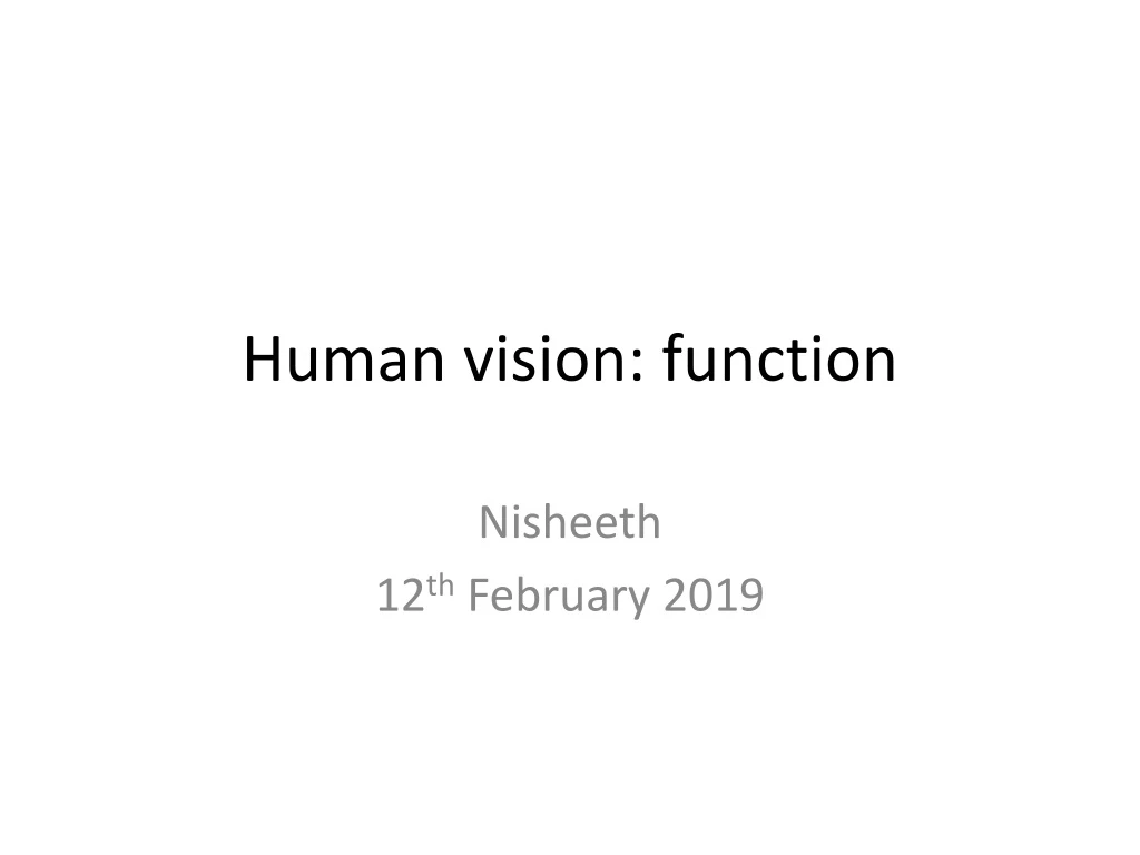 human vision function
