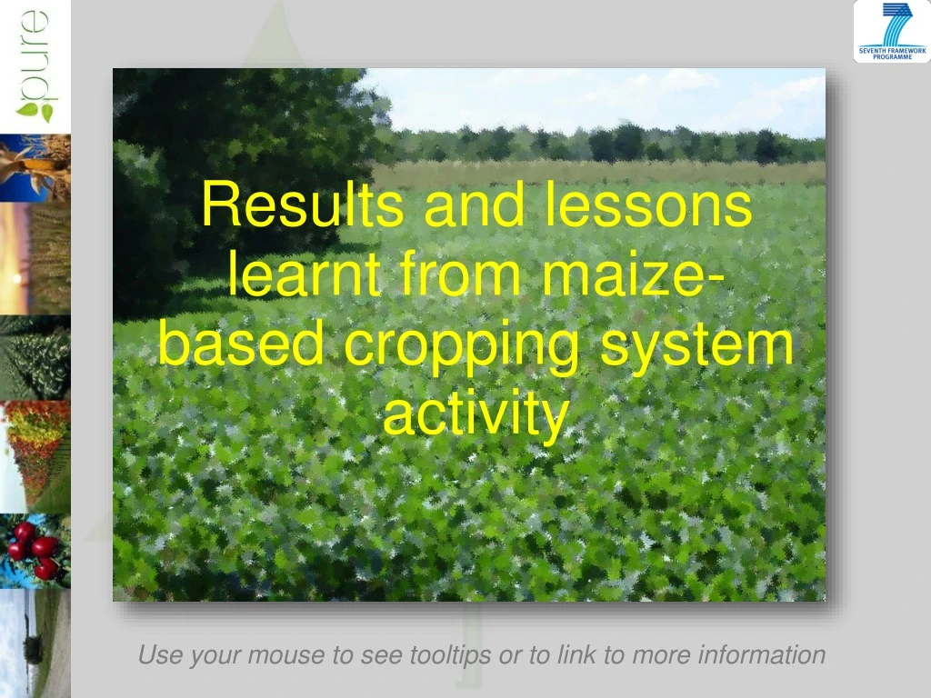 results and lessons learnt from maize based