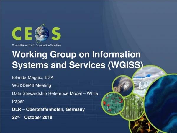 Working Group on Information Systems and Services (WGISS)