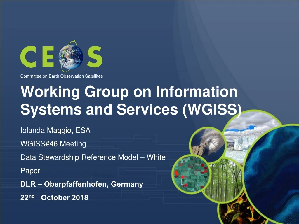 working group on information systems and services wgiss