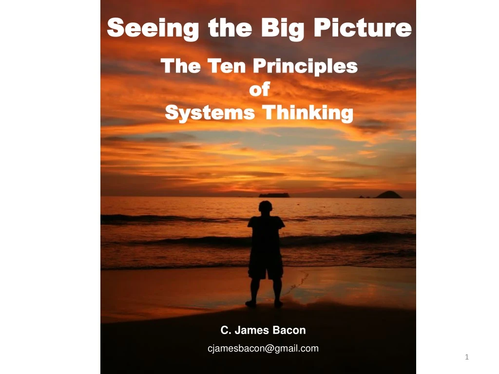 seeing the big picture the ten principles