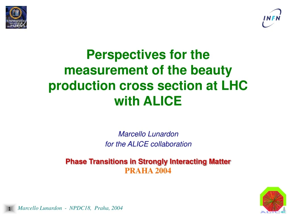 perspectives for the measurement of the beauty