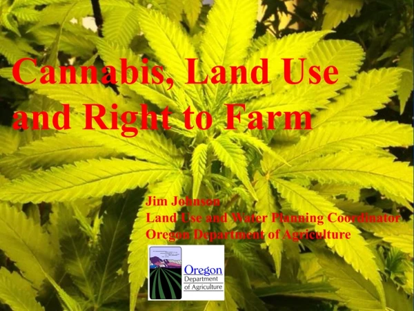 Cannabis, Land Use and Right to Farm