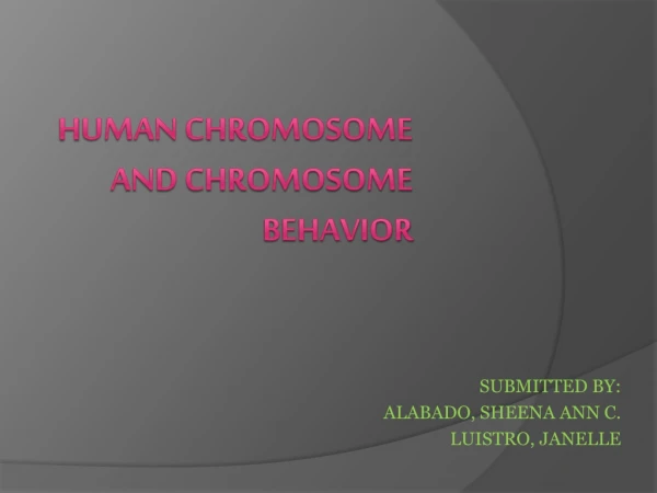 H uman chromosome and chromosome behavior