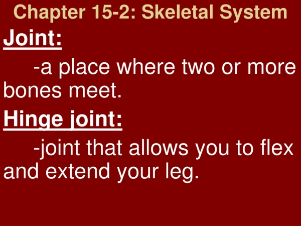 Chapter 15-2: Skeletal System