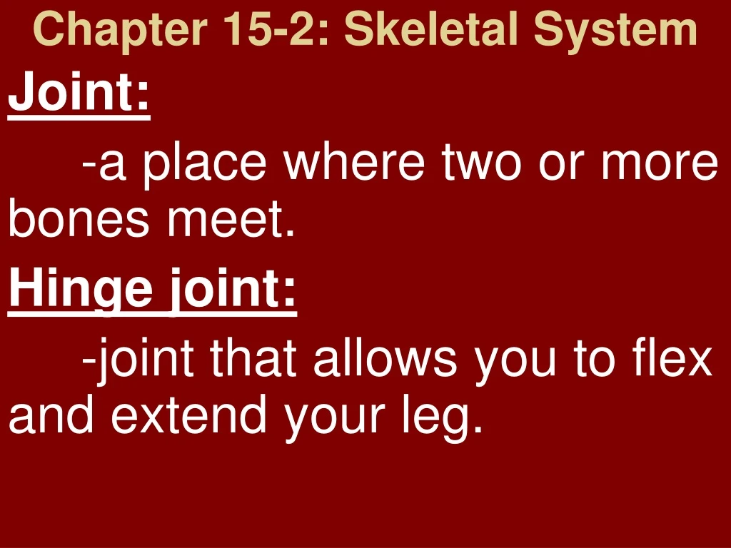 chapter 15 2 skeletal system