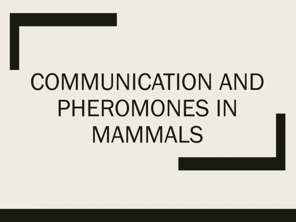 Communication and Pheromones in Mammals