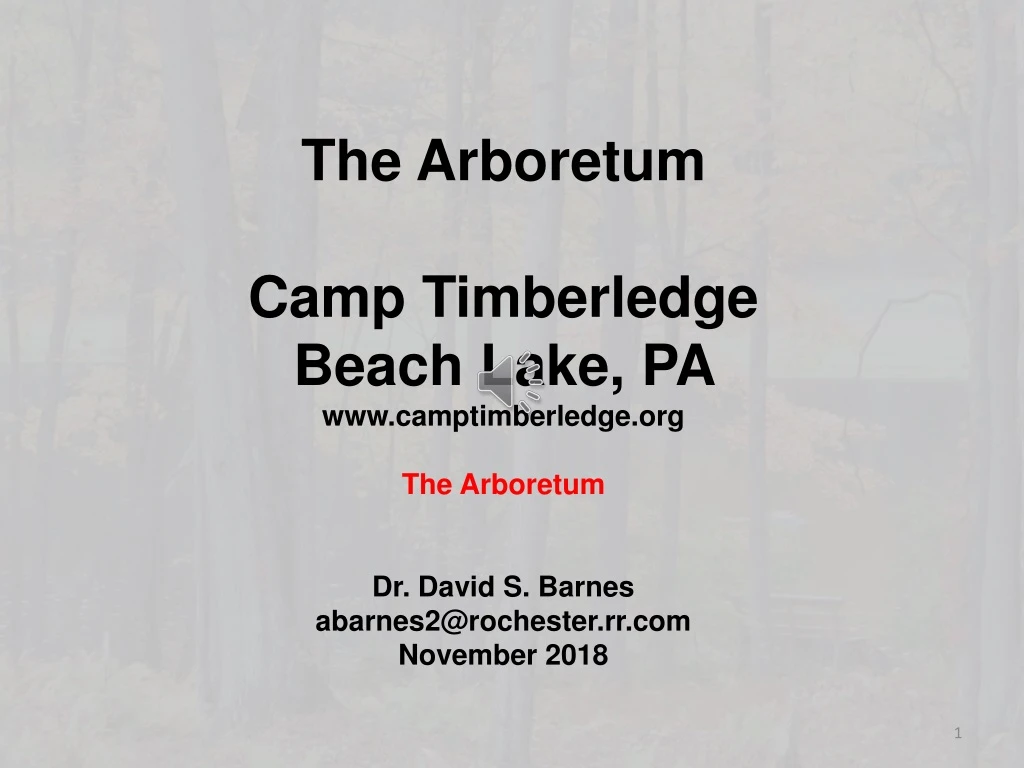 the arboretum camp timberledge beach lake