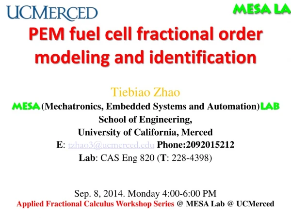 PEM fuel cell fractional order modeling and identification