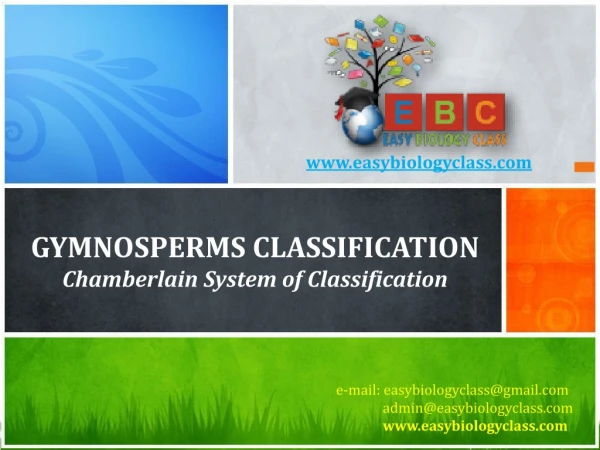 Gymnosperms Classification Chamberlain System of Classification