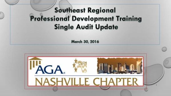 Southeast Regional Professional Development Training Single Audit Update March 30 , 2016
