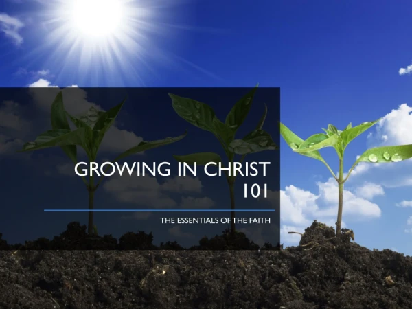 Growing in Christ 101